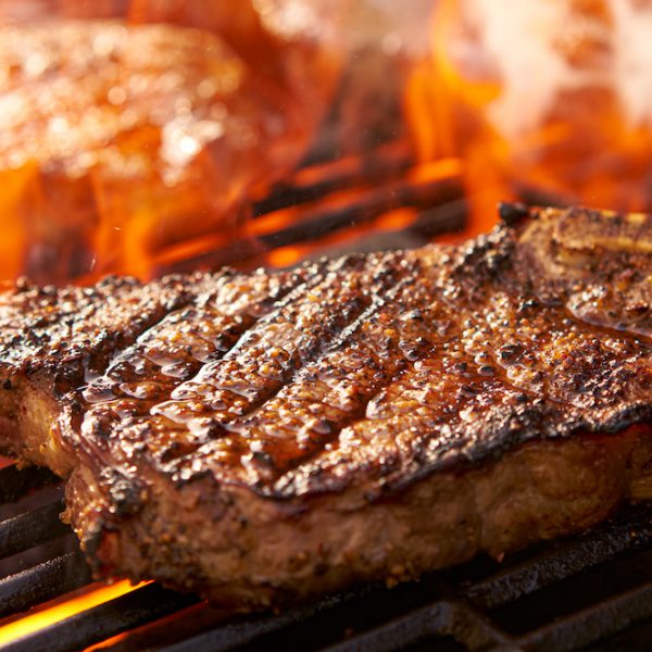 Bild Grillen zum Cicero Beitrag - Jörg Heynkes